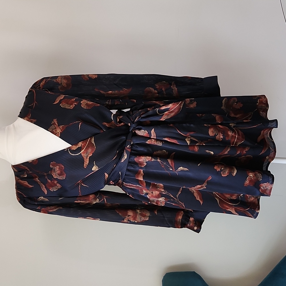 Express Dress Large